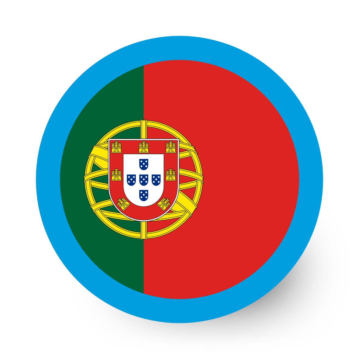 formation adulte LD portugais